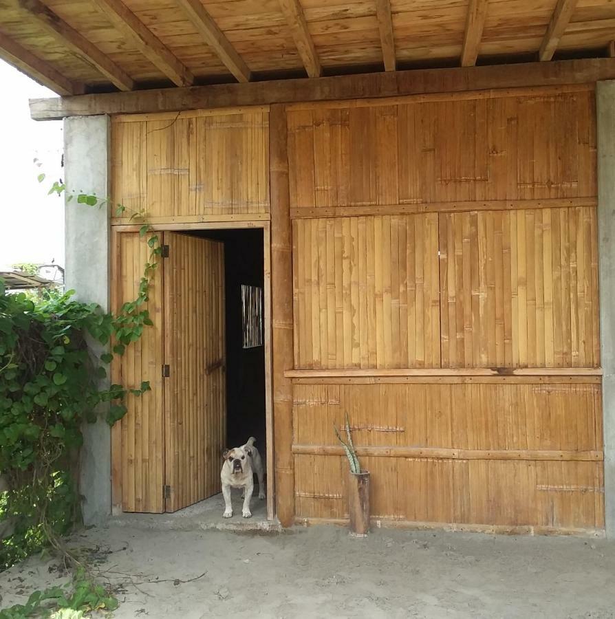 Hostal Camping Sin Fronteras Mompiche Dış mekan fotoğraf