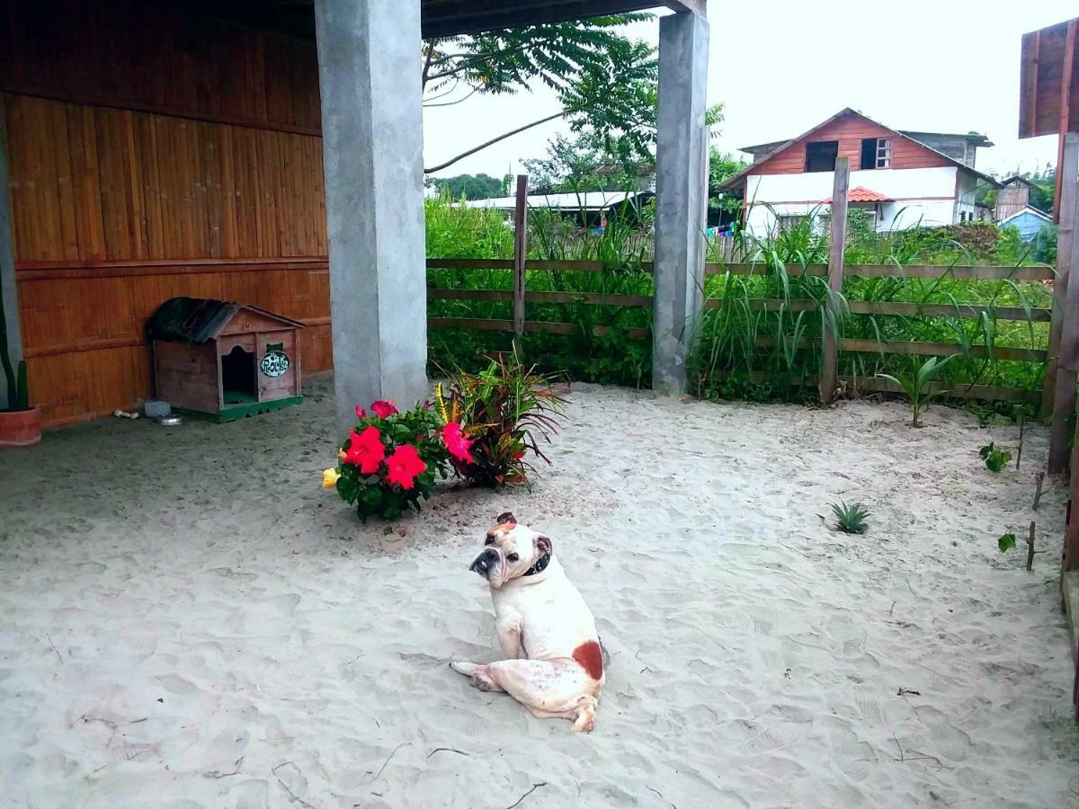 Hostal Camping Sin Fronteras Mompiche Dış mekan fotoğraf